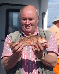 [Record Red Mullet]